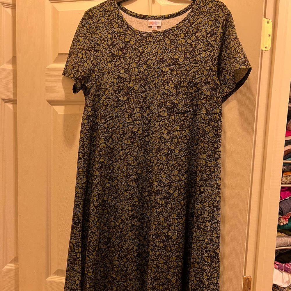 LuLaRoe Carly Dress